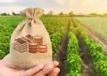 Produtores poderão renegociar dívidas com novas linhas de crédito 5 Produtores poderão renegociar dívidas com novas linhas de crédito