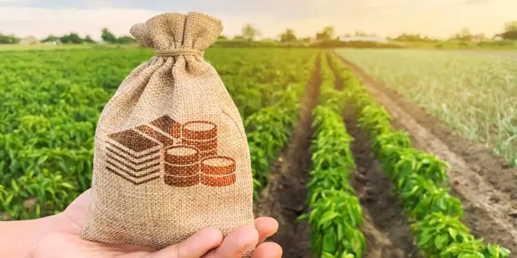 Produtores poderão renegociar dívidas com novas linhas de crédito 1 Produtores poderão renegociar dívidas com novas linhas de crédito
