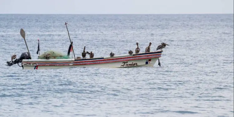 Seguro-defeso começa a ser pago para mais de 149 mil pescadores artesanais 1 Seguro-defeso começa a ser pago para mais de 149 mil pescadores artesanais