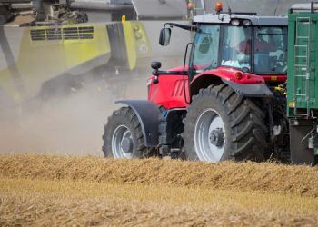 Semana reune agenda de eventos do agronegocio em quatro estados e no DF
