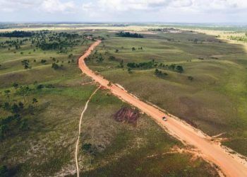 Tarifa dos EUA ao Brasil tem desmatamento como uma das justificativas, aponta especialista 6 Tarifa dos EUA ao Brasil tem desmatamento como uma das justificativas, aponta especialista