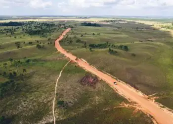 Tarifa dos EUA ao Brasil tem desmatamento como uma das justificativas, aponta especialista