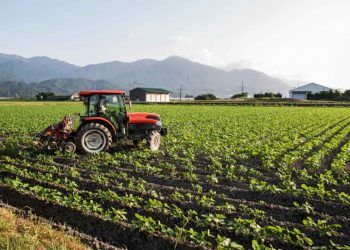 VBP da Agropecuária é estimado em R$ 1,4 trilhão em 2026