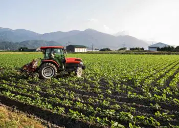 VBP da Agropecuária é estimado em R$ 1,4 trilhão em 2026 6 VBP da Agropecuária é estimado em R$ 1,4 trilhão em 2026