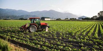 VBP da Agropecuária é estimado em R$ 1,4 trilhão em 2026