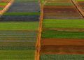 Crédito rural: 15% dos financiamentos foram para áreas com alertas ambientais, diz MapBiomas 4 Crédito rural: 15% dos financiamentos foram para áreas com alertas ambientais, diz MapBiomas