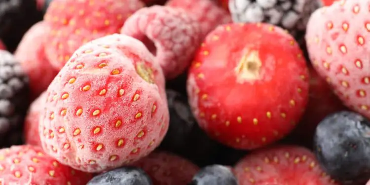 China libera procedimentos para importação de polpas e frutas congeladas do Brasil 1 China libera procedimentos para importação de polpas e frutas congeladas do Brasil