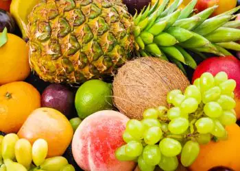 Exportação de frutas do Brasil cresce 25% em receita no início de 2026 7 Exportação de frutas do Brasil cresce 25% em receita no início de 2026