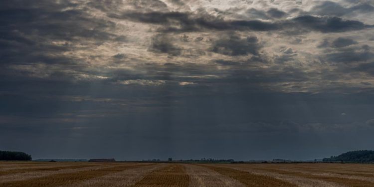 Julho de 2026 terá frio no início, mais chuva no Sul e picos de calor no fim do mês 1 Julho de 2026 terá frio no início, mais chuva no Sul e picos de calor no fim do mês