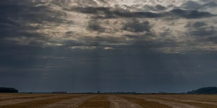 Julho de 2026 terá frio no início, mais chuva no Sul e picos de calor no fim do mês 1 Julho de 2026 terá frio no início, mais chuva no Sul e picos de calor no fim do mês