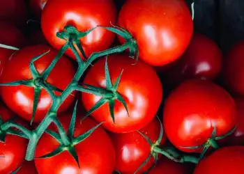 Agricultores familiares terão bônus de desconto para 19 produtos pelo PGPAF em agosto