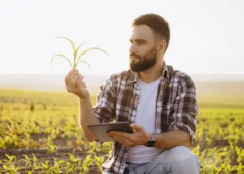 Agronegócio deve recuar 7,8% em 2026, aponta projeção