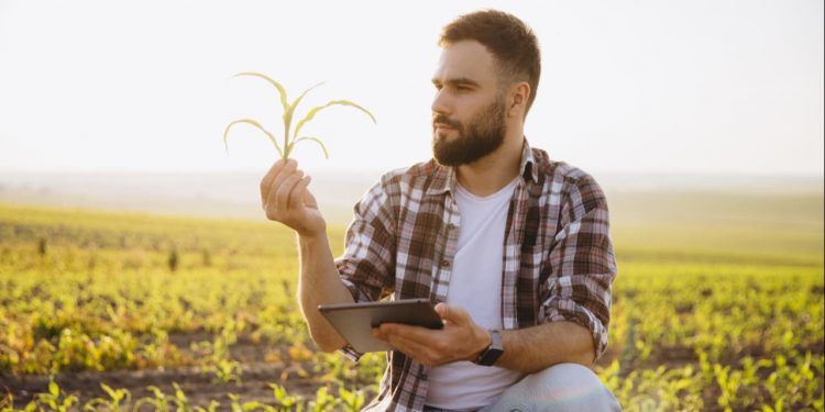 Agronegócio deve recuar 7,8% em 2026, aponta projeção 1 Agronegócio deve recuar 7,8% em 2026, aponta projeção