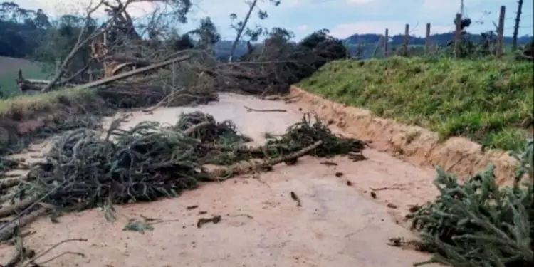 Alertas meteorológicos passam a reunir riscos climáticos nos municípios do Paraná 1 Alertas meteorológicos passam a reunir riscos climáticos nos municípios do Paraná