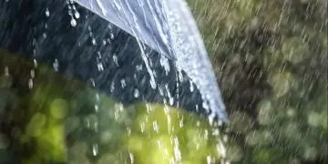 Chuva forte e ventos de até 100 km/h colocam Sul em alerta nesta quarta (12)