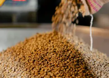 Conab poderá ampliar oferta de produtos para alimentação animal 8 Conab poderá ampliar oferta de produtos para alimentação animal