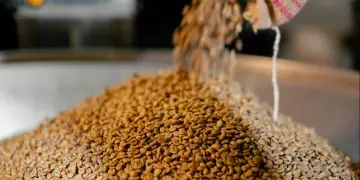 Conab poderá ampliar oferta de produtos para alimentação animal