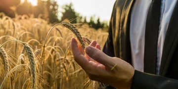 Crédito rural da agricultura empresarial alcança R$ 28,2 bilhões em julho