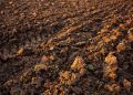 Degradação do solo coloca 39 milhões de brasileiros em áreas de risco 4 Degradação do solo coloca 39 milhões de brasileiros em áreas de risco