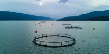 El Niño pode alterar condições para pesca e aquicultura no país; entenda
