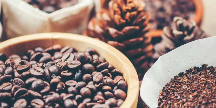 Exportações de café avançam em julho, mas receita com vendas externas recua 1 Exportações de café avançam em julho, mas receita com vendas externas recua