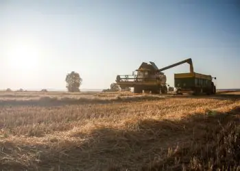 Financiamento privado do agro soma R$ 580,78 bilhões em CPRs em julho 6 Financiamento privado do agro soma R$ 580,78 bilhões em CPRs em julho