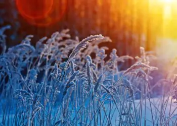 Frente fria avança pelo país e derruba temperaturas nesta sexta-feira (21)