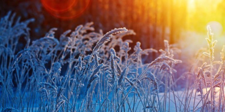 Frente fria avança pelo país e derruba temperaturas nesta sexta-feira (21) 1 Frente fria avança pelo país e derruba temperaturas nesta sexta-feira (21)
