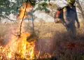 Goiás suspende uso do fogo em vegetação durante período de estiagem