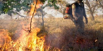 Goiás suspende uso do fogo em vegetação durante período de estiagem