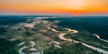 Inscrições para edital de apoio a projetos na Amazônia seguem abertas até setembro