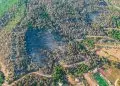 Meta brasileira prevê recuperação de 163 mil km² de áreas degradadas até 2030
