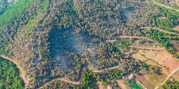 Meta brasileira prevê recuperação de 163 mil km² de áreas degradadas até 2030