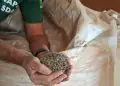 PF apreende 217 toneladas de fertilizantes adulterados em Mato Grosso