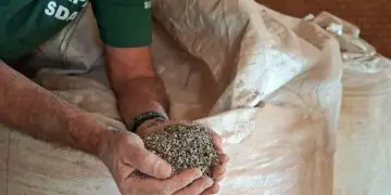 PF apreende 217 toneladas de fertilizantes adulterados em Mato Grosso