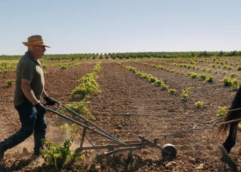 Parana amplia regras para licenciamento ambiental de atividades rurais