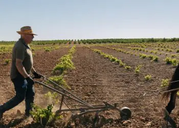 Paraná amplia regras para licenciamento ambiental de atividades rurais