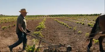Paraná amplia regras para licenciamento ambiental de atividades rurais