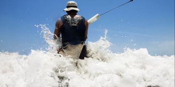 Pesca da tainha por emalhe costeiro é suspensa após cota atingir 90%