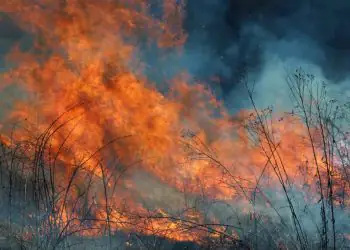 Politica nacional estabelece regras para o manejo do fogo e prevencao de incendios