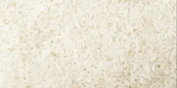 Preços do arroz avançam no RS, mas margens seguem abaixo de 2025