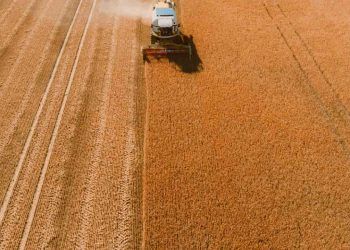 Safra 2025/26 deve atingir 360,8 milhões de toneladas de grãos, estima Conab