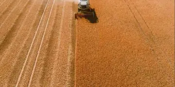 Safra 2025/26 deve atingir 360,8 milhões de toneladas de grãos, estima Conab