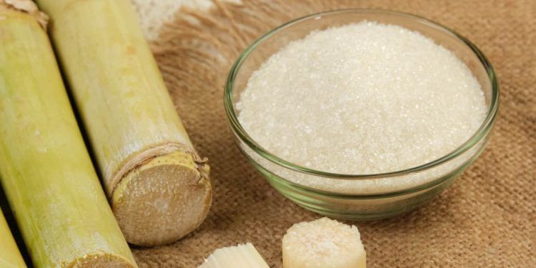 Safra 2026/27 de cana-de-açúcar deve crescer, mas custos seguem pressionando produtores 1 Safra 2026/27 de cana-de-açúcar deve crescer, mas custos seguem pressionando produtores