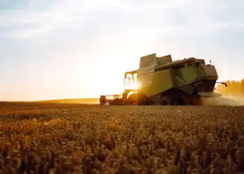 Soja e pecuária puxam VBP agropecuário estimado em R$ 1,39 trilhão