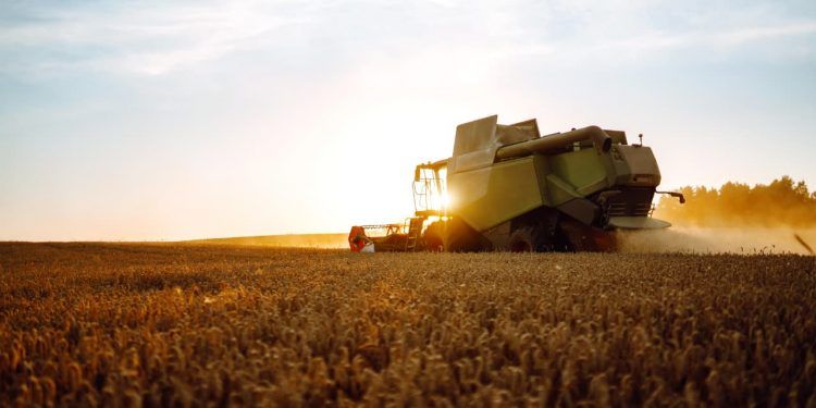 Soja e pecuária puxam VBP agropecuário estimado em R$ 1,39 trilhão 1 Soja e pecuária puxam VBP agropecuário estimado em R$ 1,39 trilhão