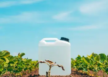 Tecnologia da Embrapa amplia produção de bioinseticidas em escala industrial