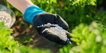 Senado aprova programa para incentivar produção nacional de fertilizantes