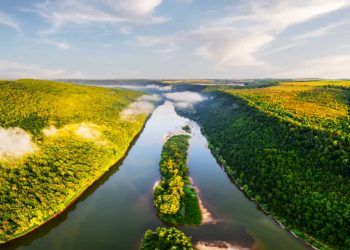 ABNT publica norma com critérios para certificação do Selo Amazônia