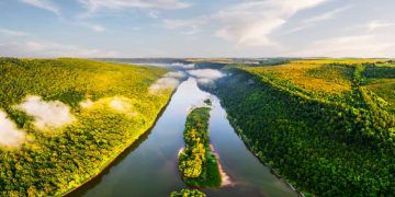ABNT publica norma com critérios para certificação do Selo Amazônia